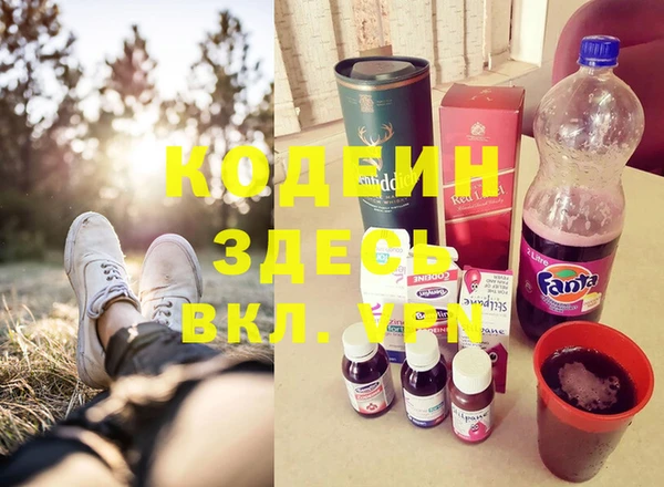 прущие грибы Алзамай