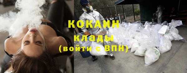 прущие грибы Алзамай