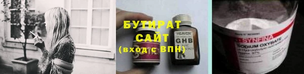 прущие грибы Алзамай