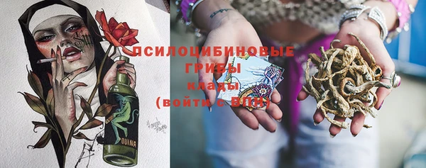 прущие грибы Алзамай